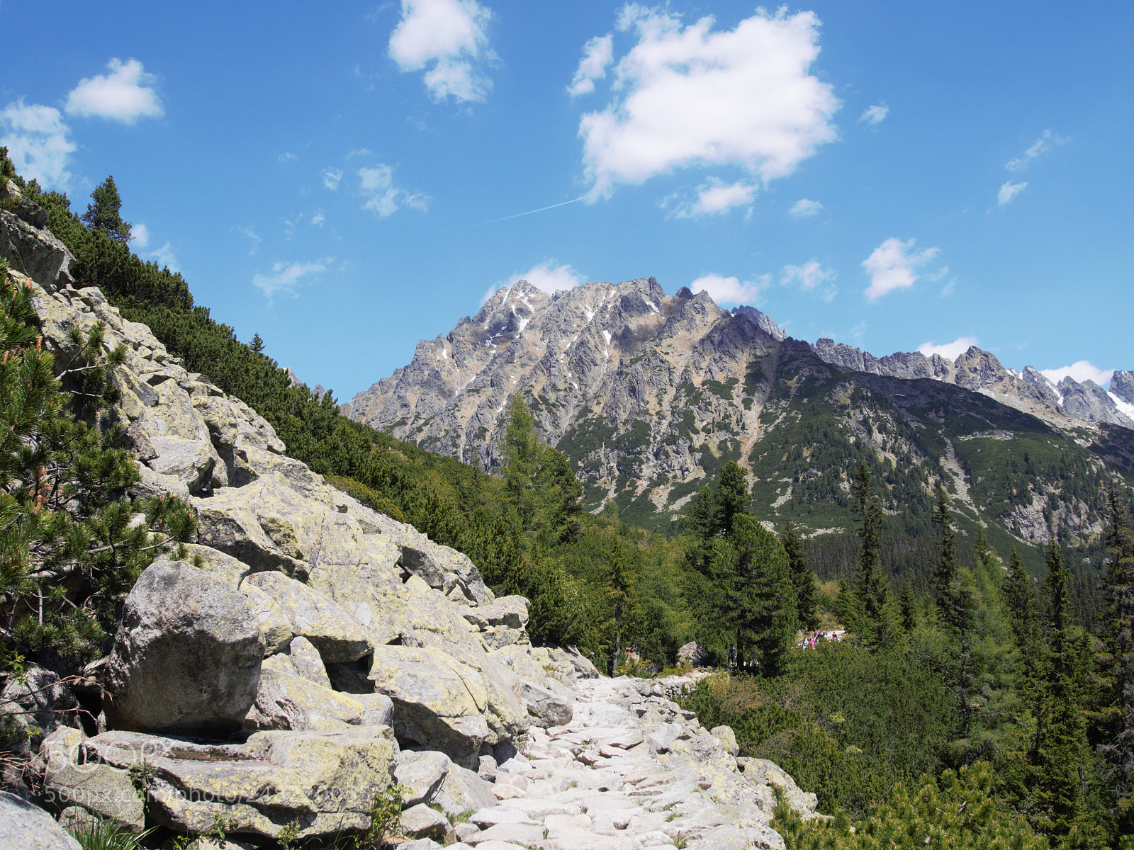 Olympus PEN E-PL5 sample photo. National park photography