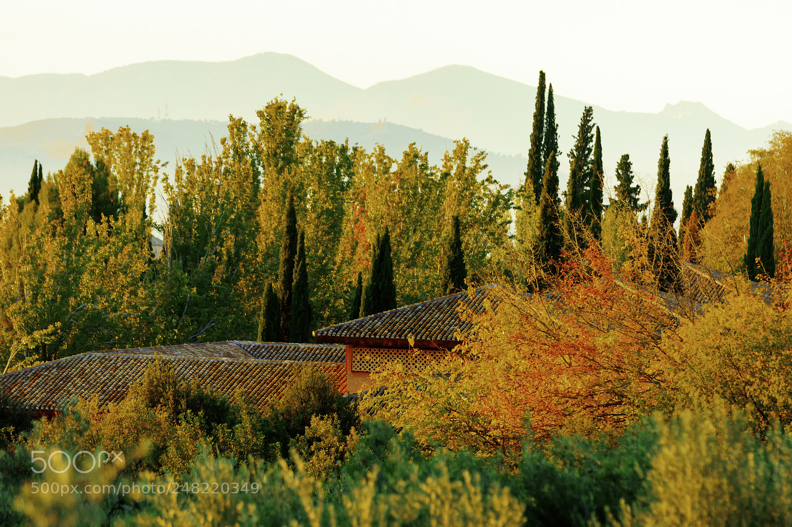Canon EOS 7D Mark II sample photo. Fall landscape at sunset. photography