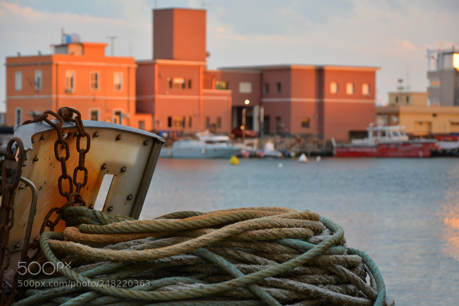 Nikon D7100 sample photo. Untitled photography