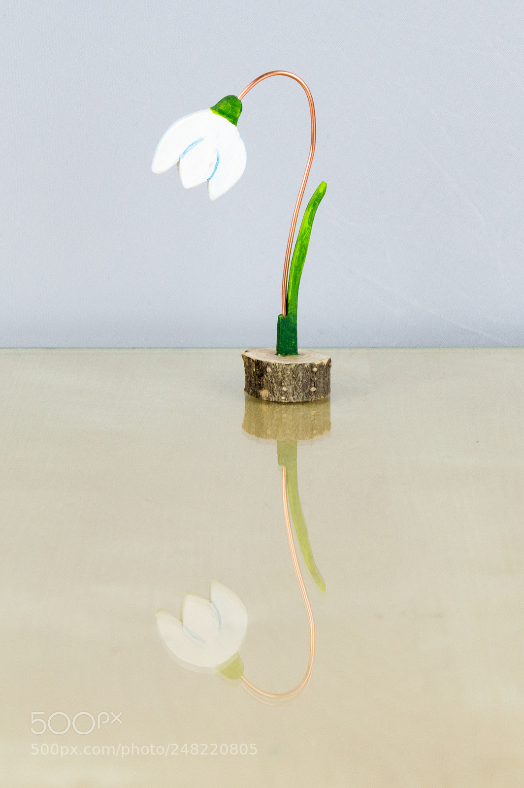 Nikon D3200 sample photo. Snowdrop - lowlight photography