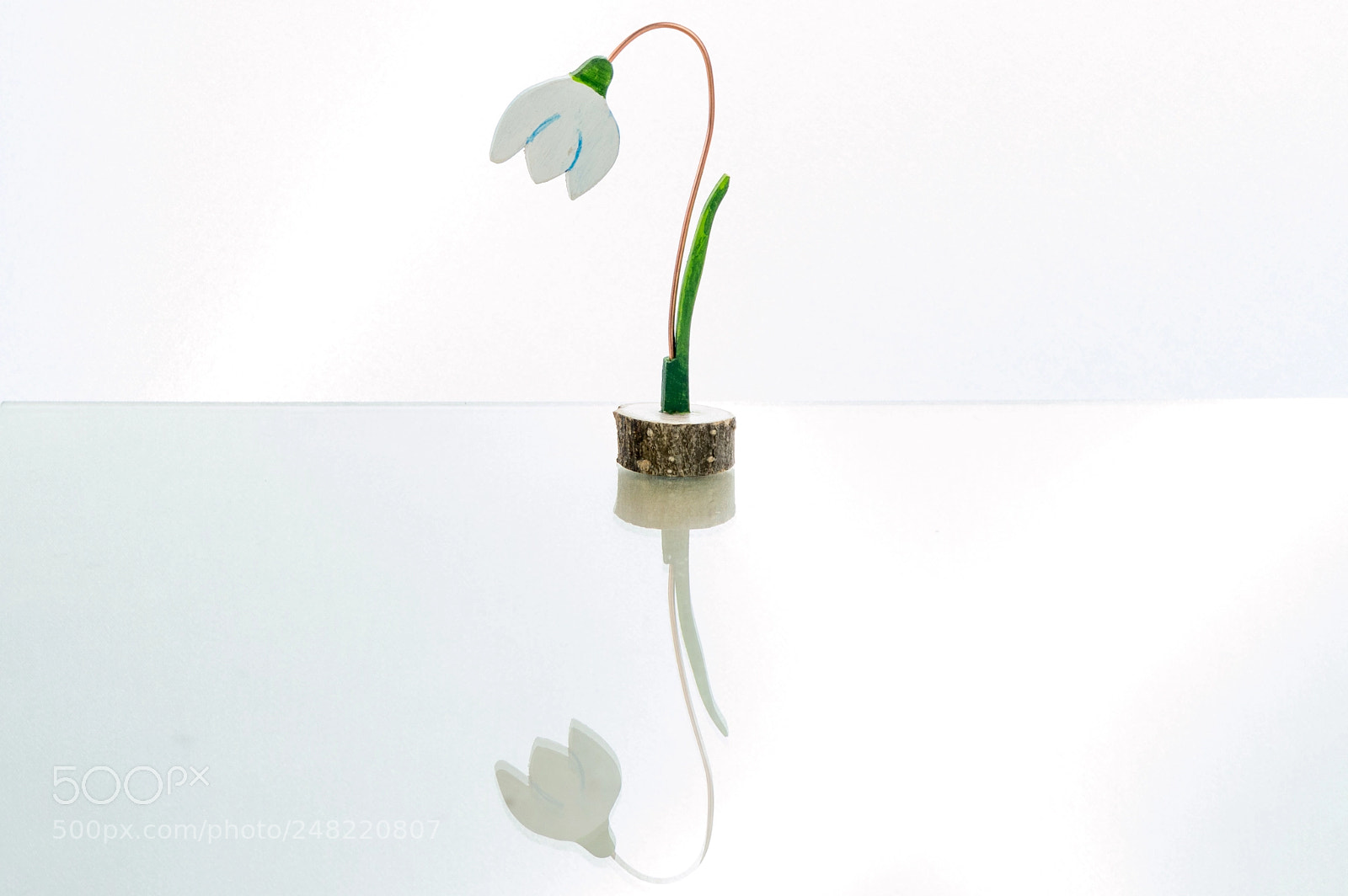 Nikon D3200 sample photo. Snowdrop - highlight photography