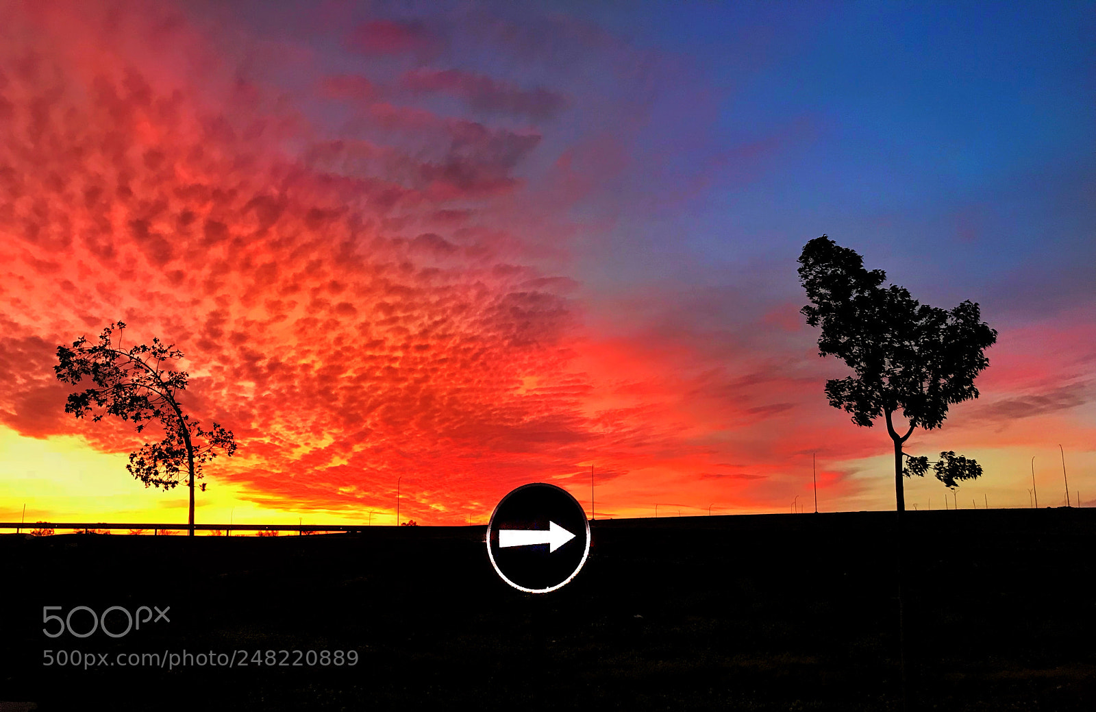 Apple iPhone 7 Plus sample photo. Sunset colors photography