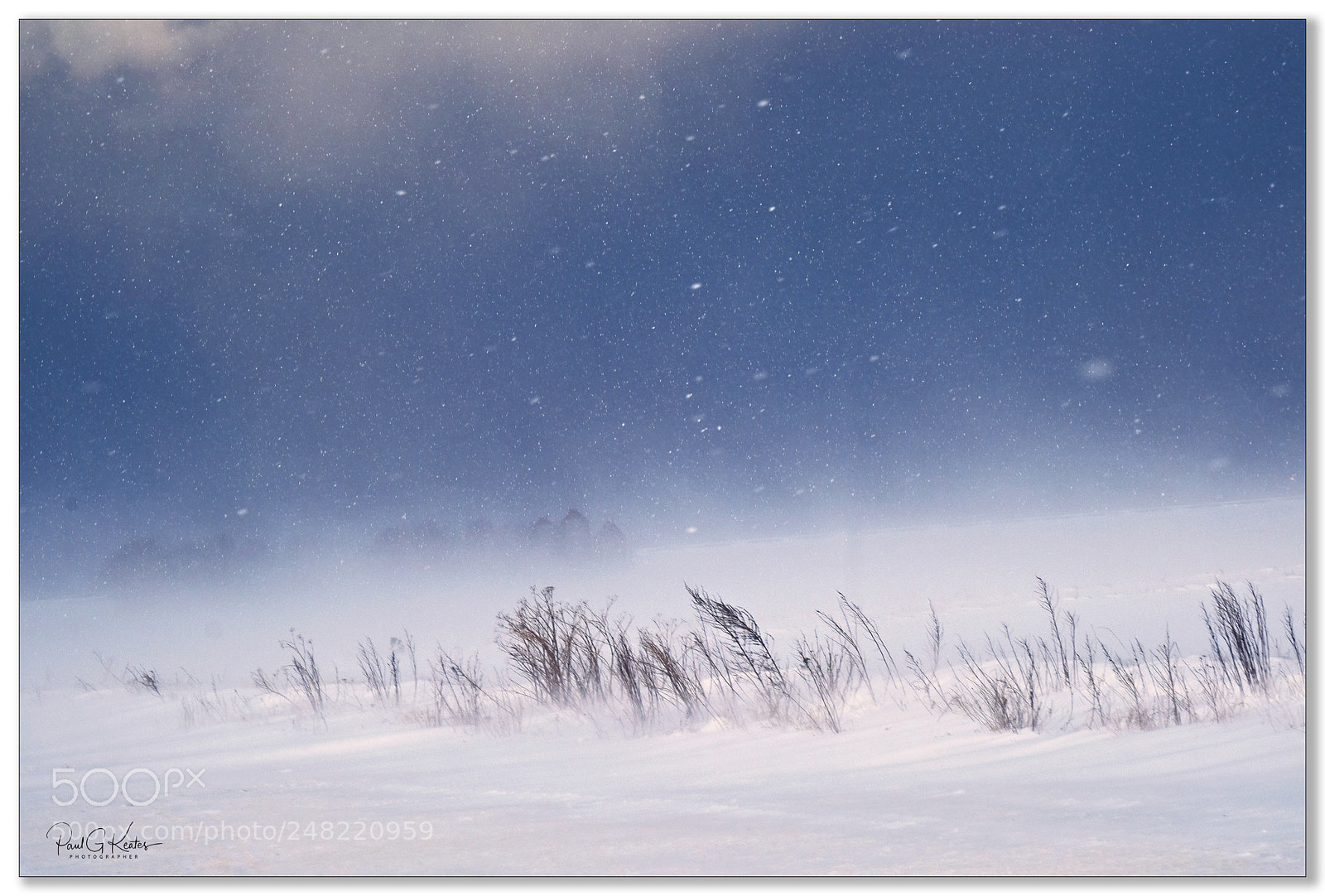 Fujifilm X-T2 sample photo. Simplicity of snow .... photography