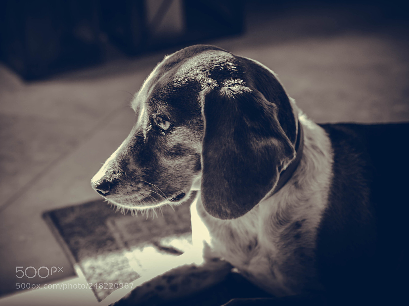 Nikon D700 sample photo. Quinn photography