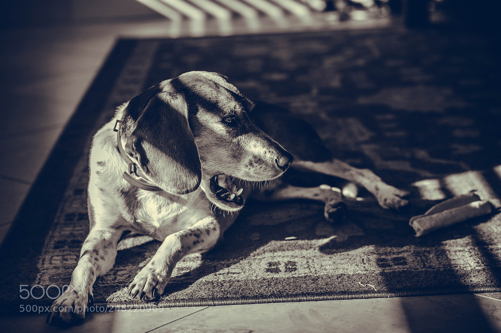 Nikon D700 sample photo. Quinn photography