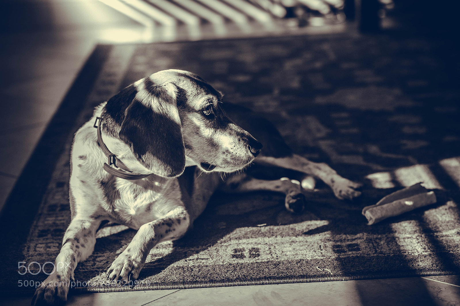 Nikon D700 sample photo. Quinn photography