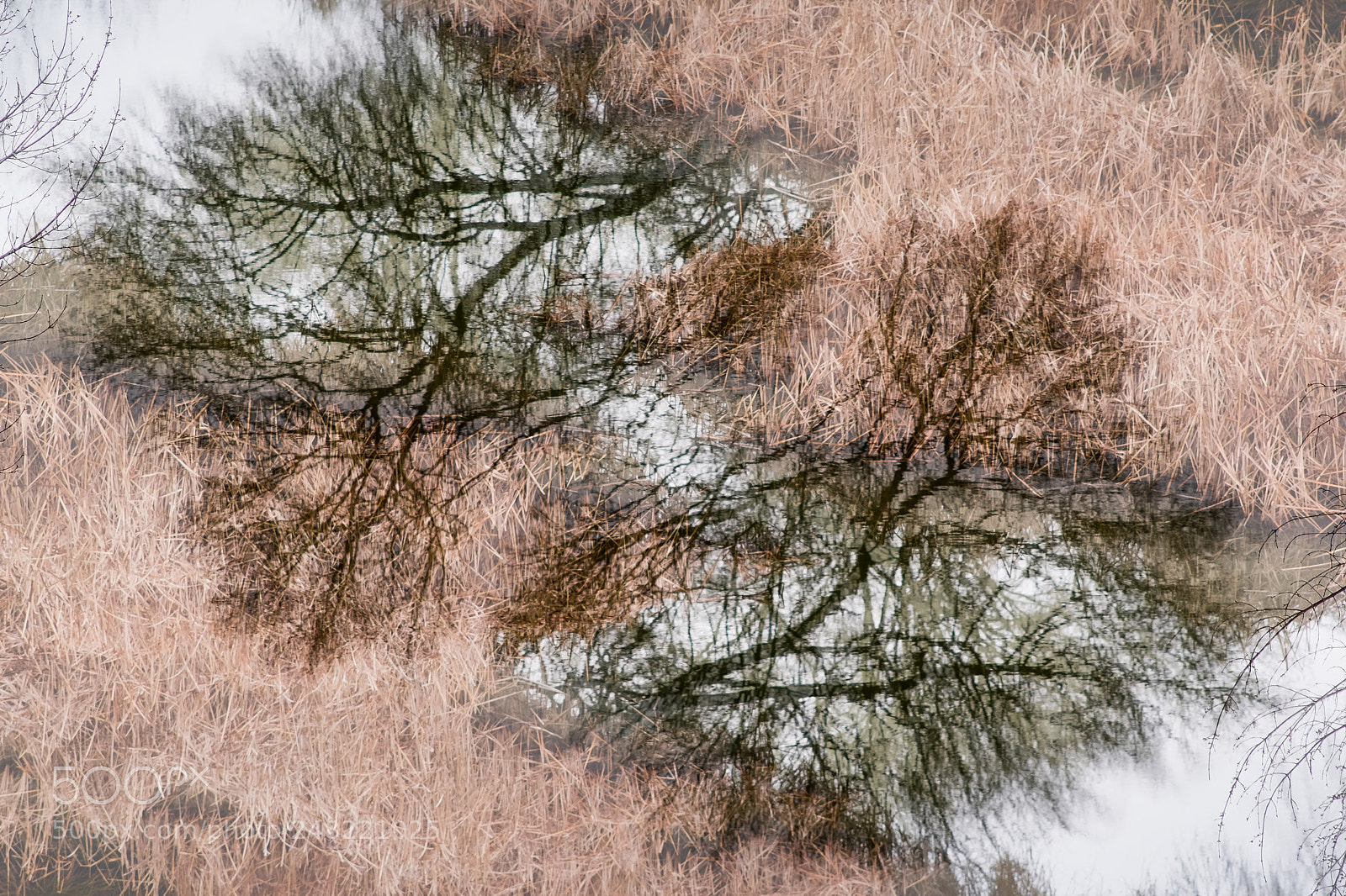 Fujifilm X-T1 sample photo. Invierno photography