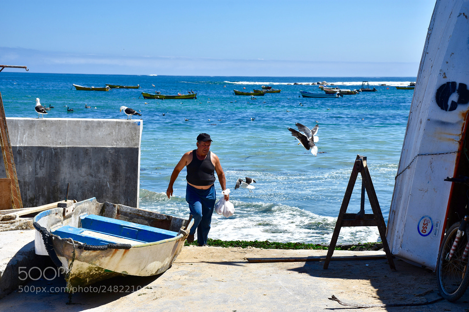 Nikon D7200 sample photo. Pescador chileno photography