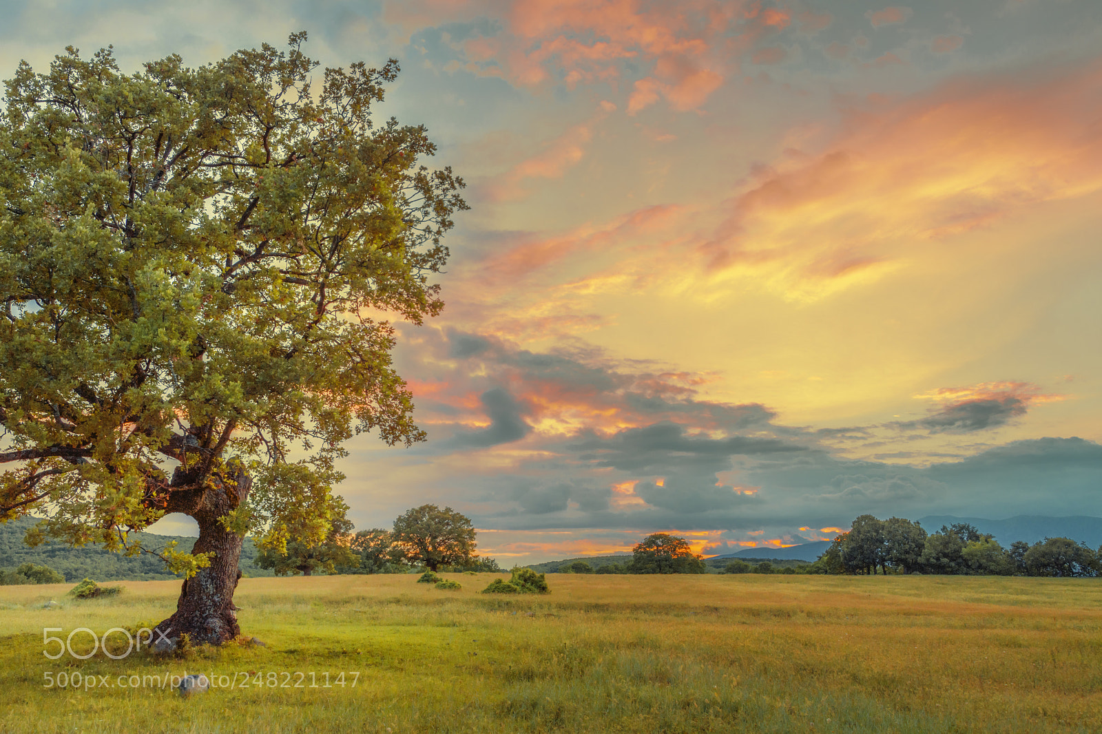 Nikon D7200 sample photo. Colorful evening photography