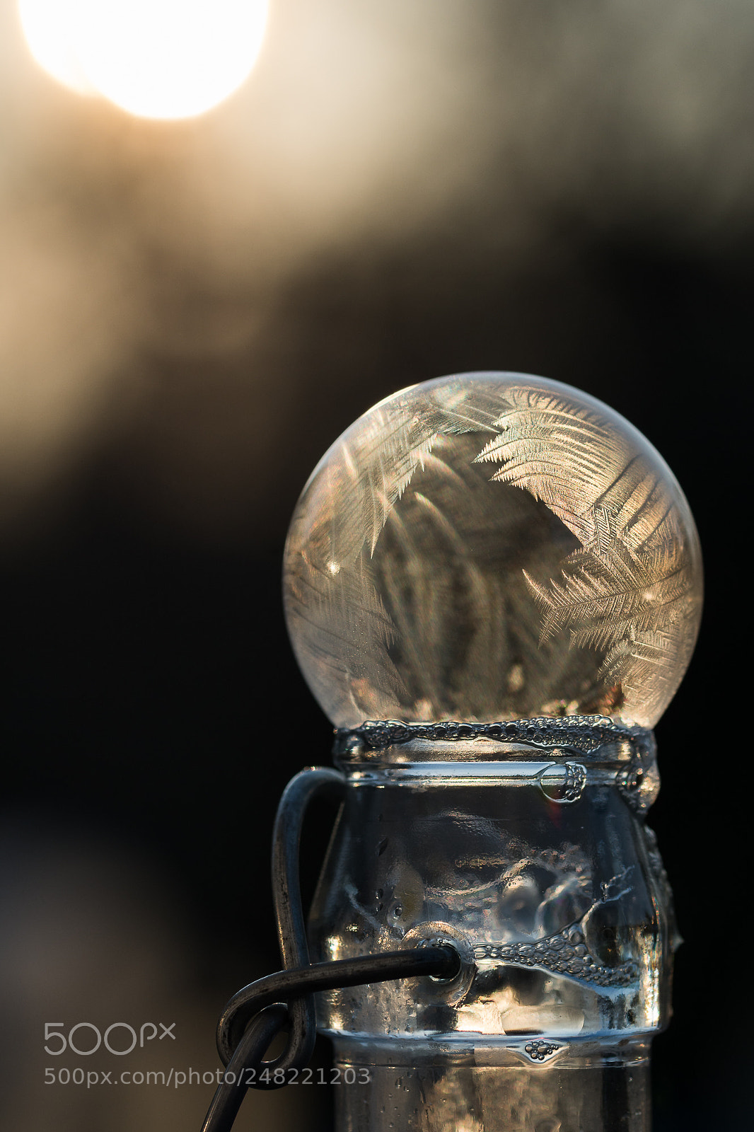 Nikon D7100 sample photo. Frozen photography