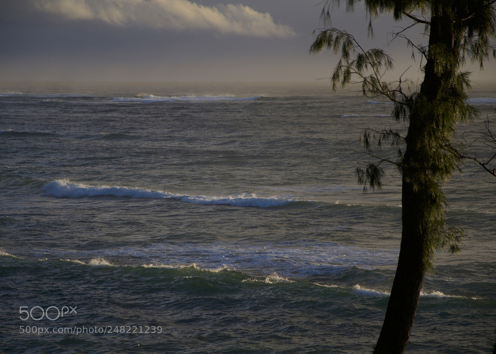 Nikon D300 sample photo. Between a sea breeze photography