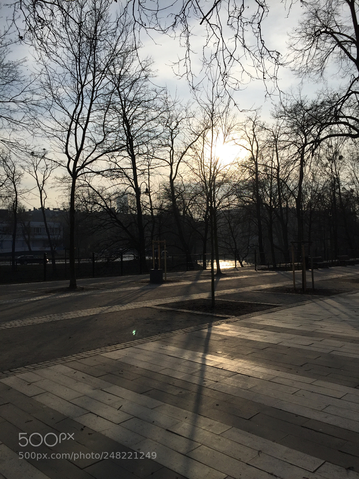 Apple iPhone 6 sample photo. Untitled photography