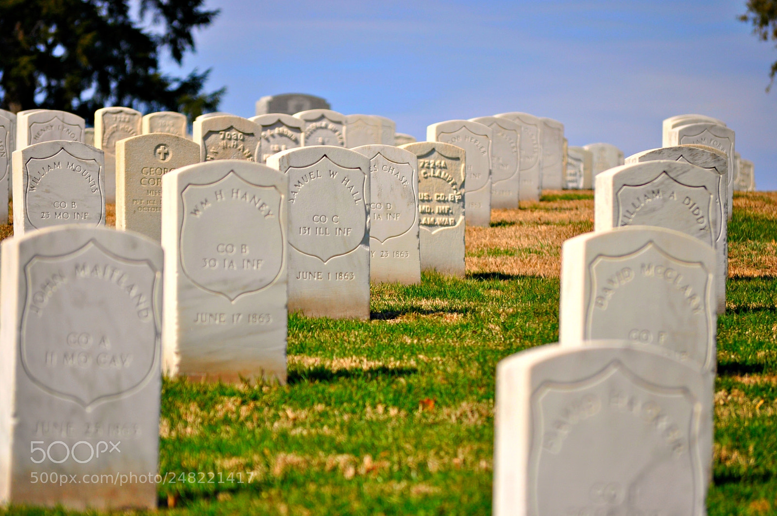 Nikon D5000 sample photo. For those who served photography