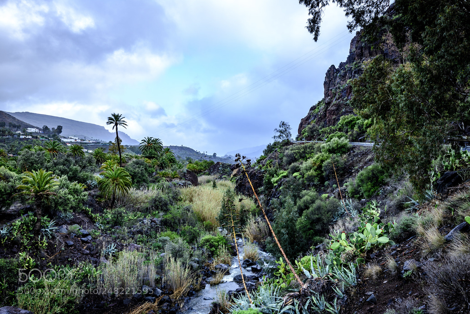 Nikon D610 sample photo. Ag ita ag ita photography