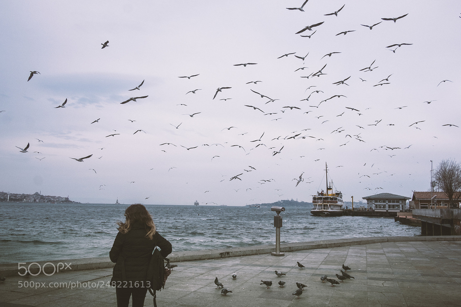 Fujifilm X-Pro2 sample photo. Seagull and girl photography