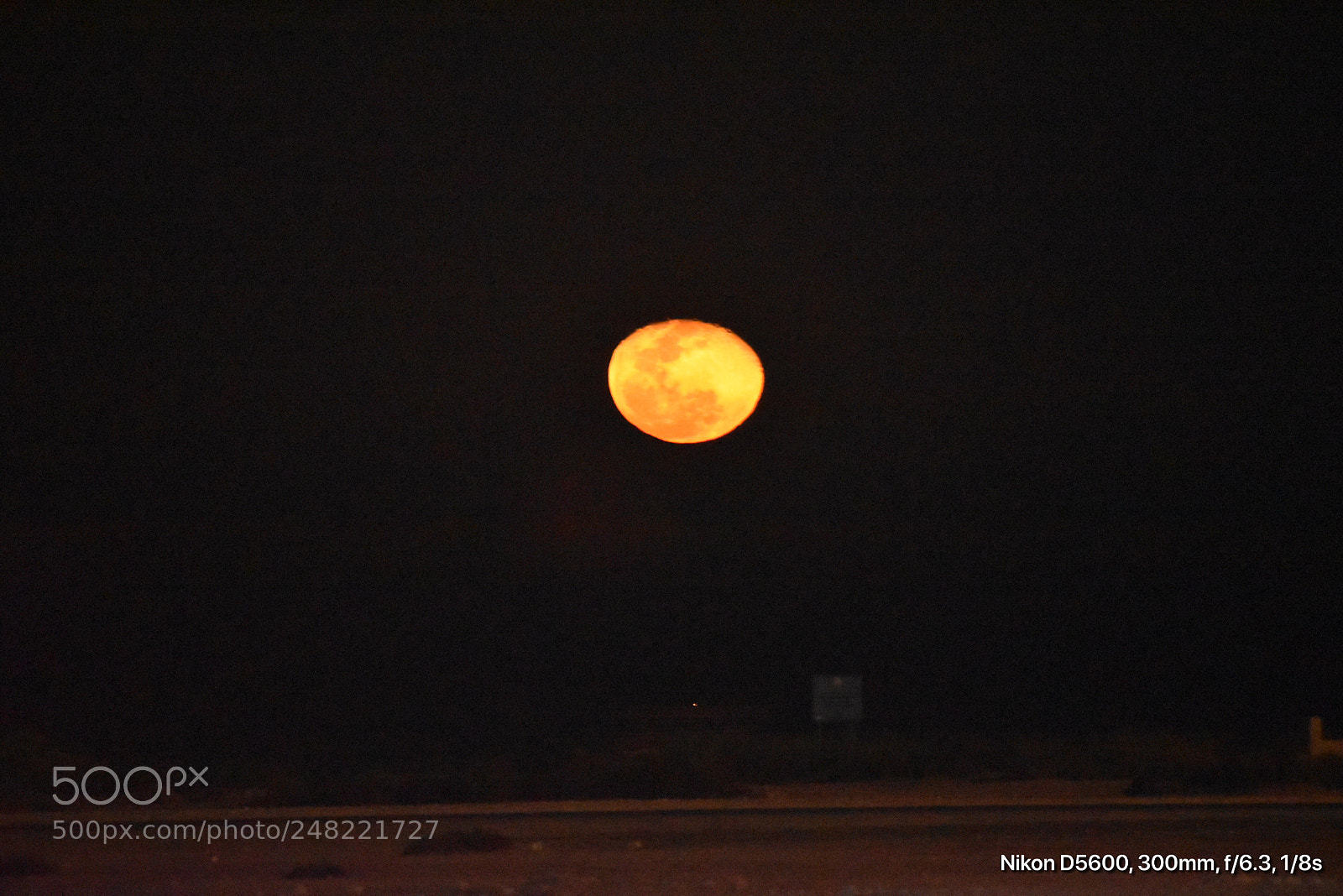 Nikon D5600 sample photo. Moon photography