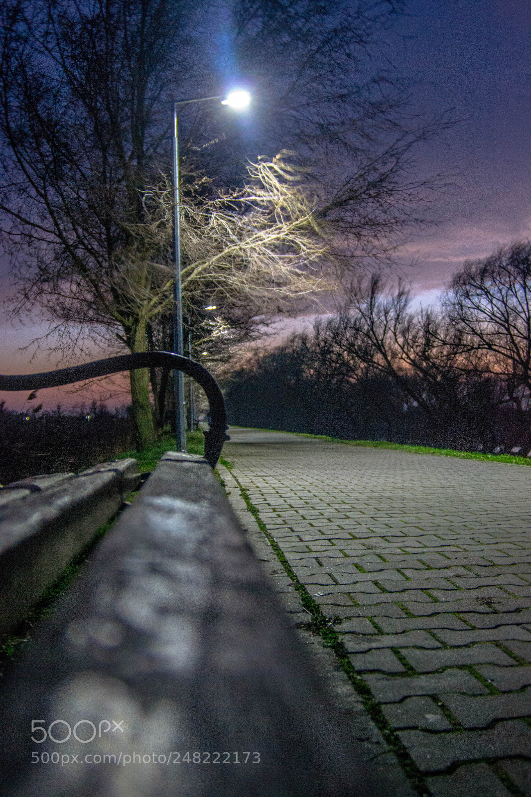 Nikon D3100 sample photo. On the bench.. photography