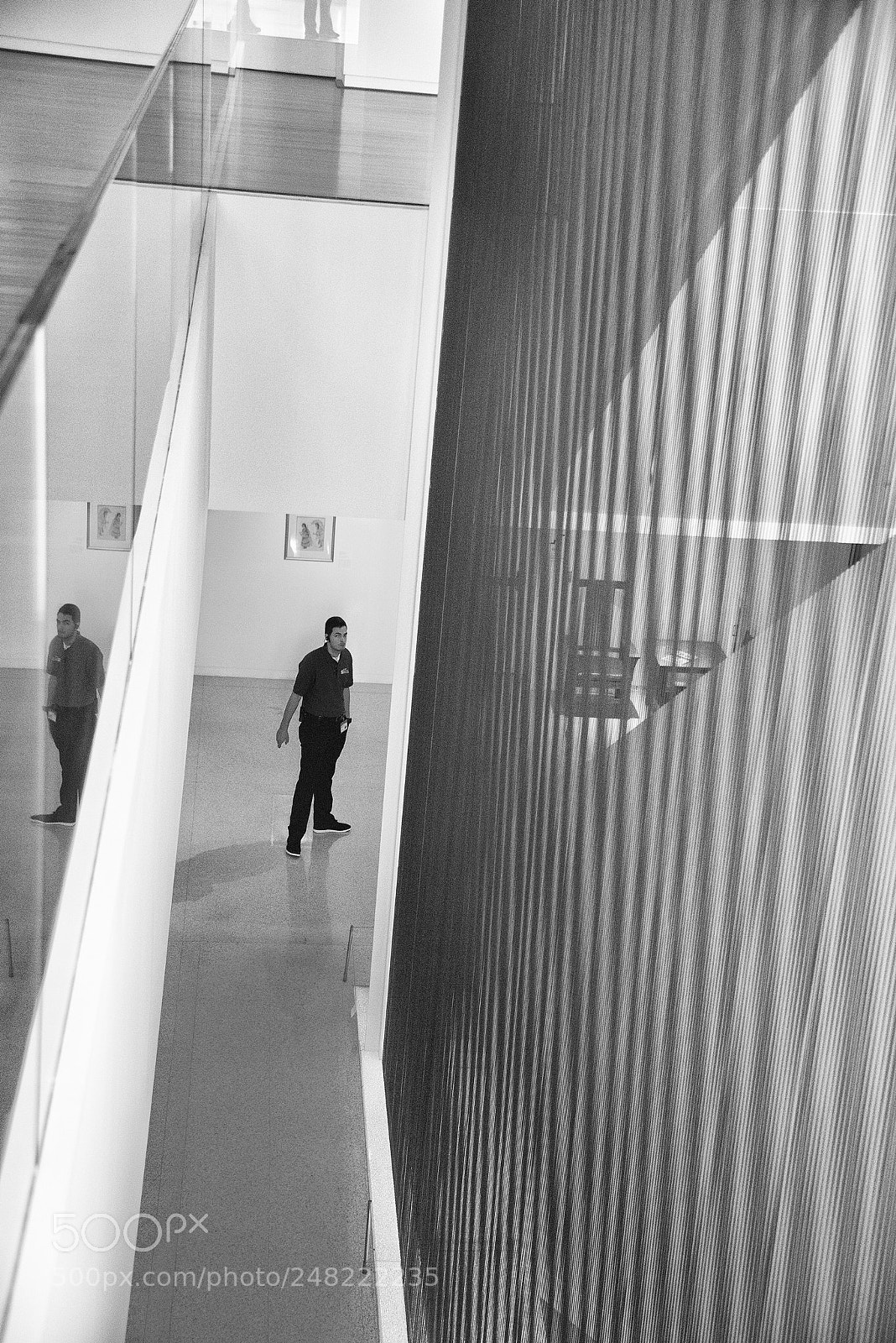 Nikon D610 sample photo. Guard, fred jones museum photography