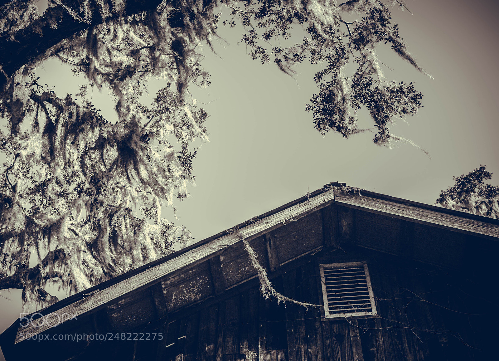 Nikon D700 sample photo. The roof photography