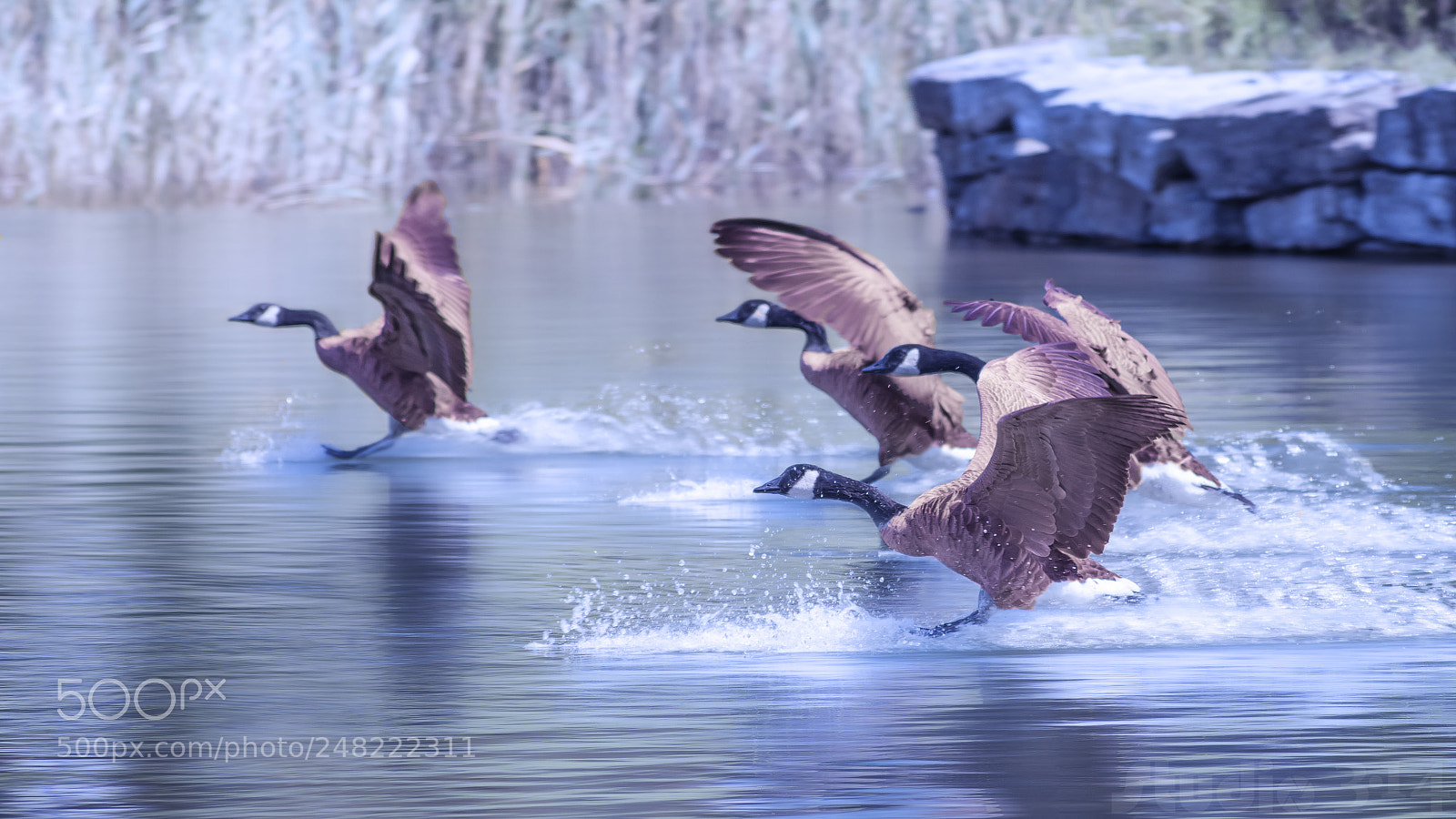 Nikon D7200 sample photo. Touchdown photography