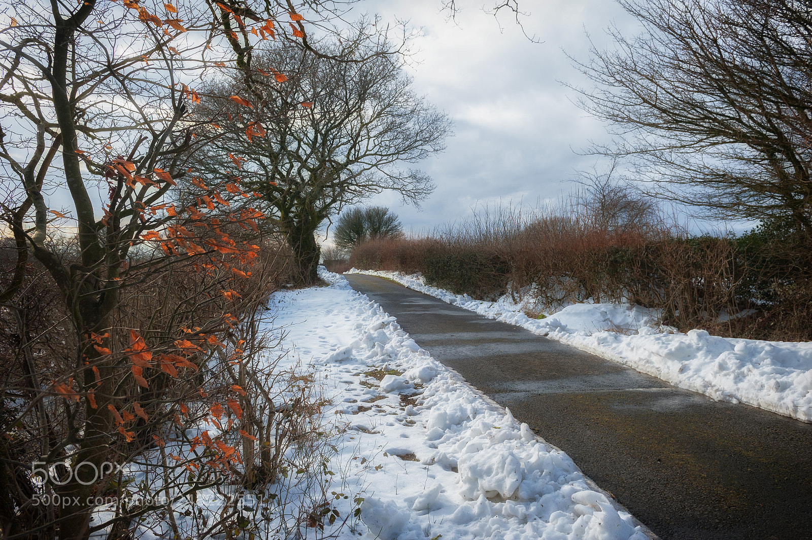 Nikon D700 sample photo. Winter sun photography