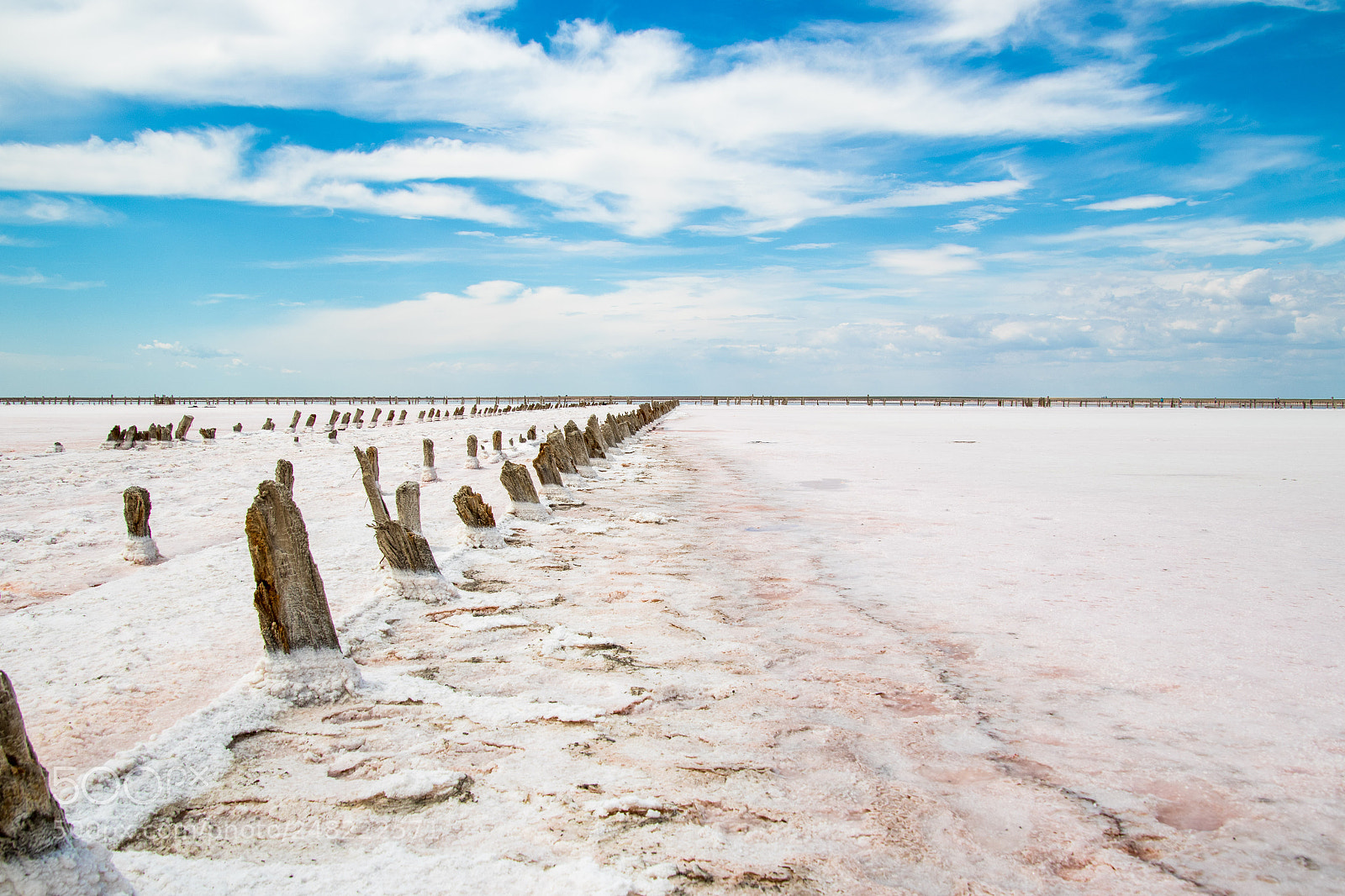 Canon EOS 7D Mark II sample photo. Pink salt lake photography