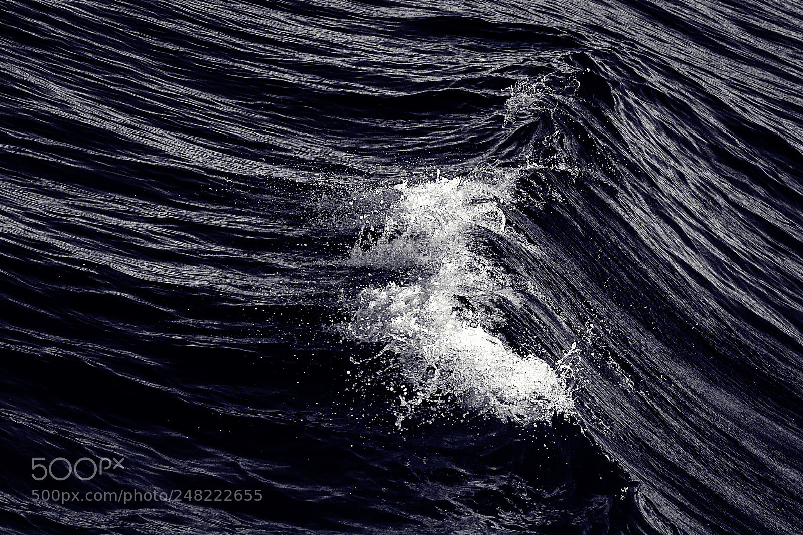 Canon EOS 500D (EOS Rebel T1i / EOS Kiss X3) sample photo. On the wave. photography