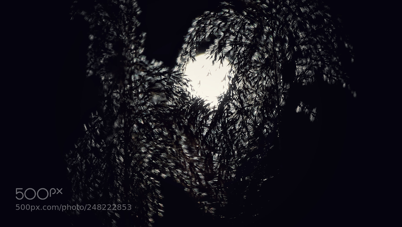 Sony Cyber-shot DSC-HX300 sample photo. Moon light photography