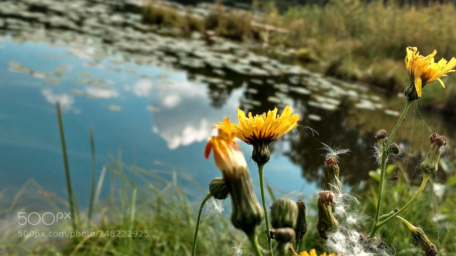 Motorola Moto X Play sample photo. Last sommer photography