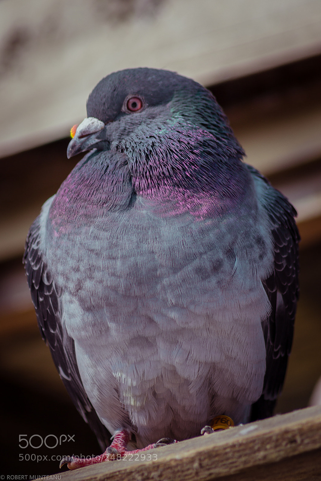 Nikon D3100 sample photo. Untitled photography