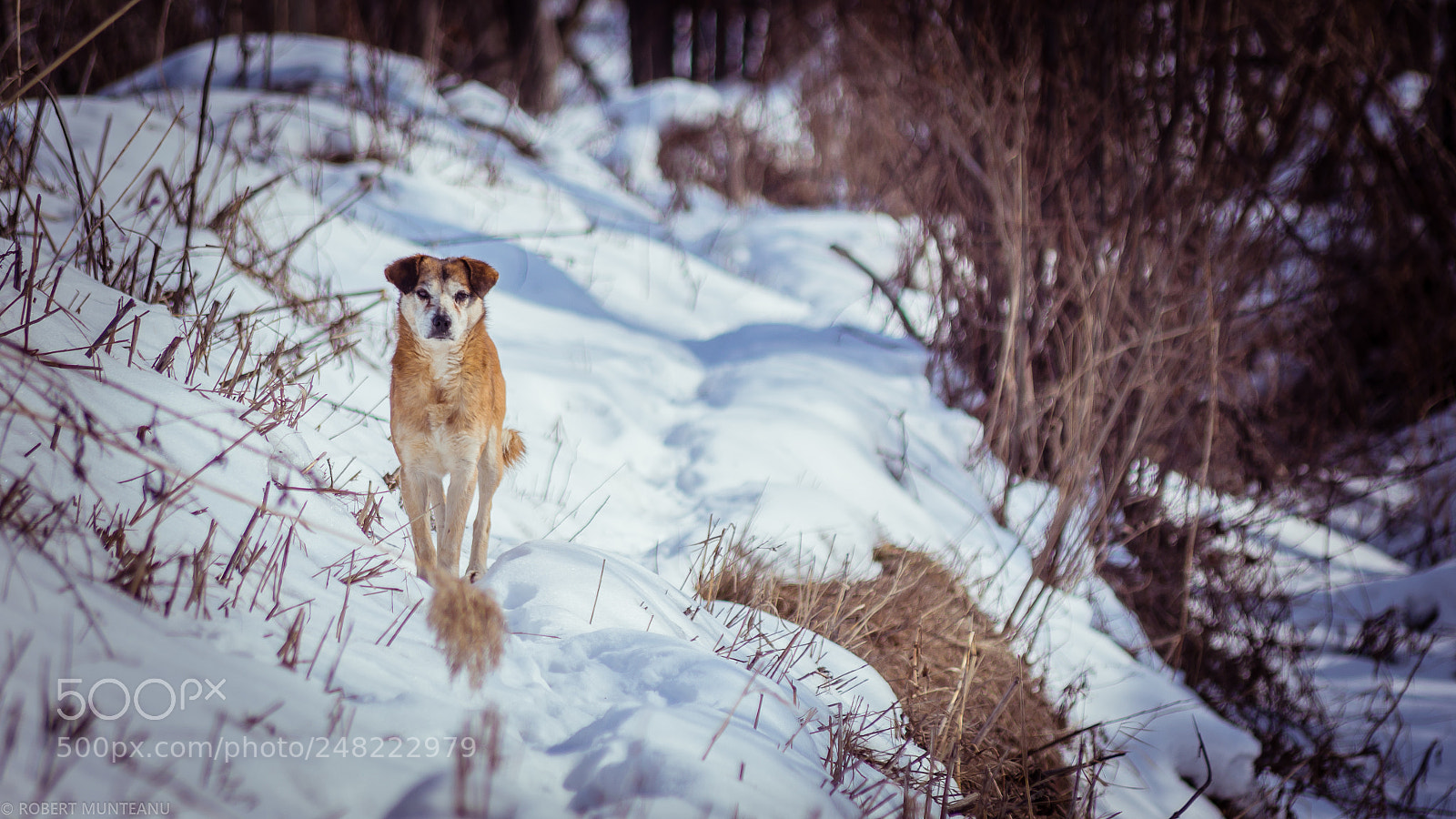 Nikon D3100 sample photo. Untitled photography