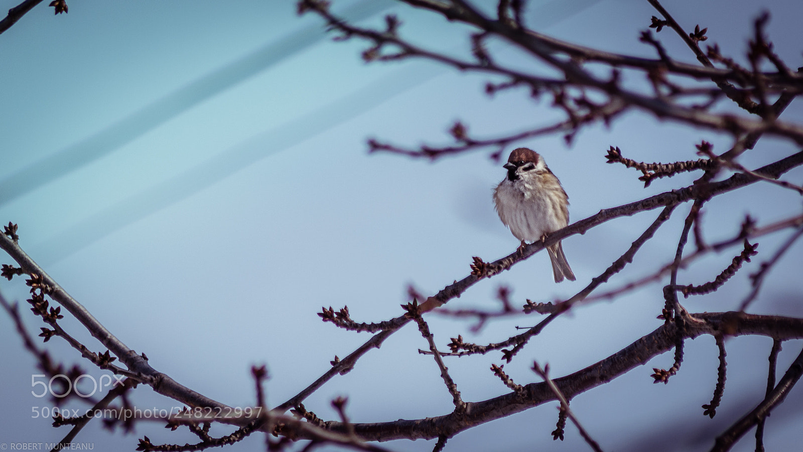 Nikon D3100 sample photo. Untitled photography