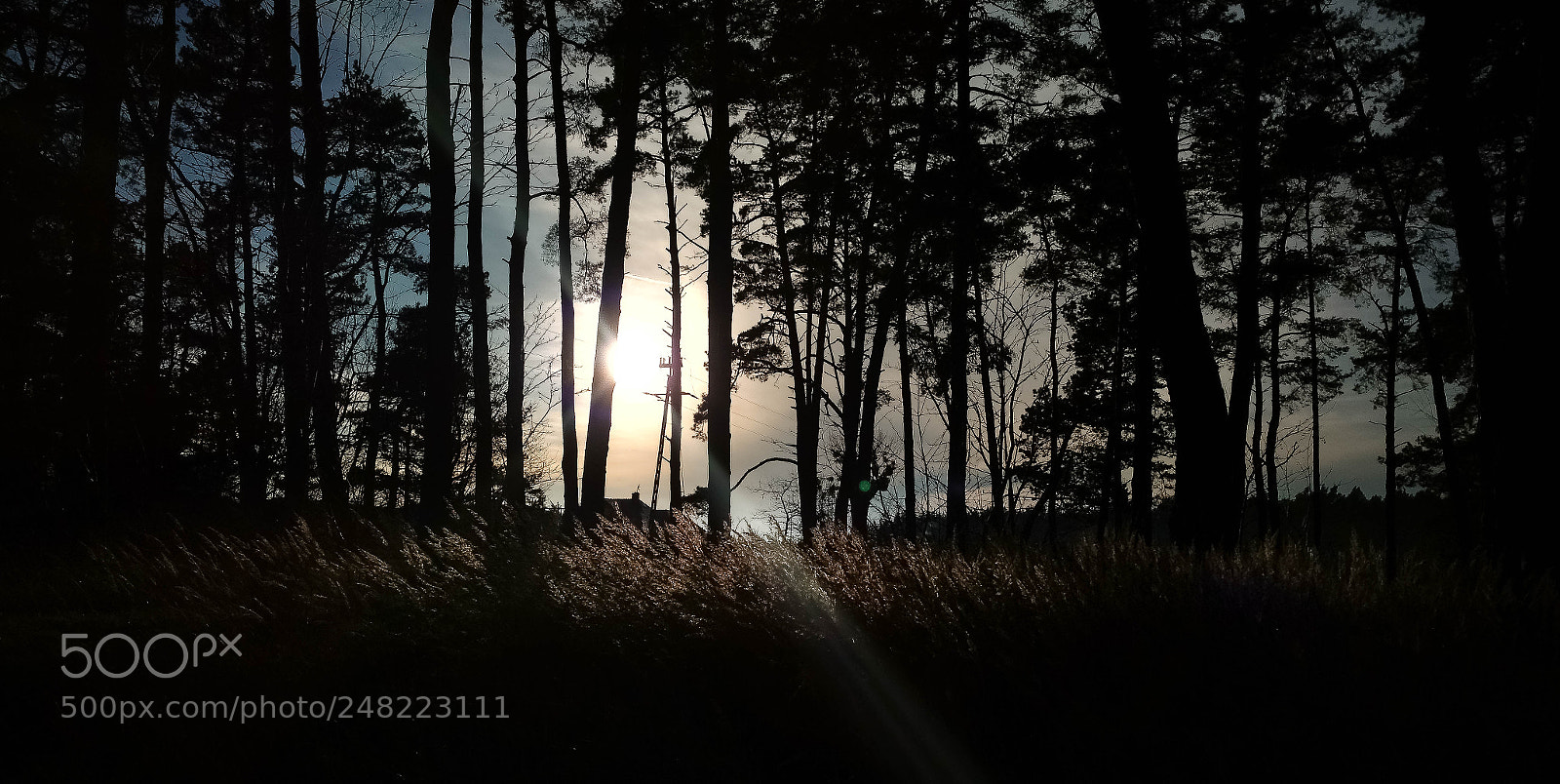 Motorola Moto X Play sample photo. Sunset photography