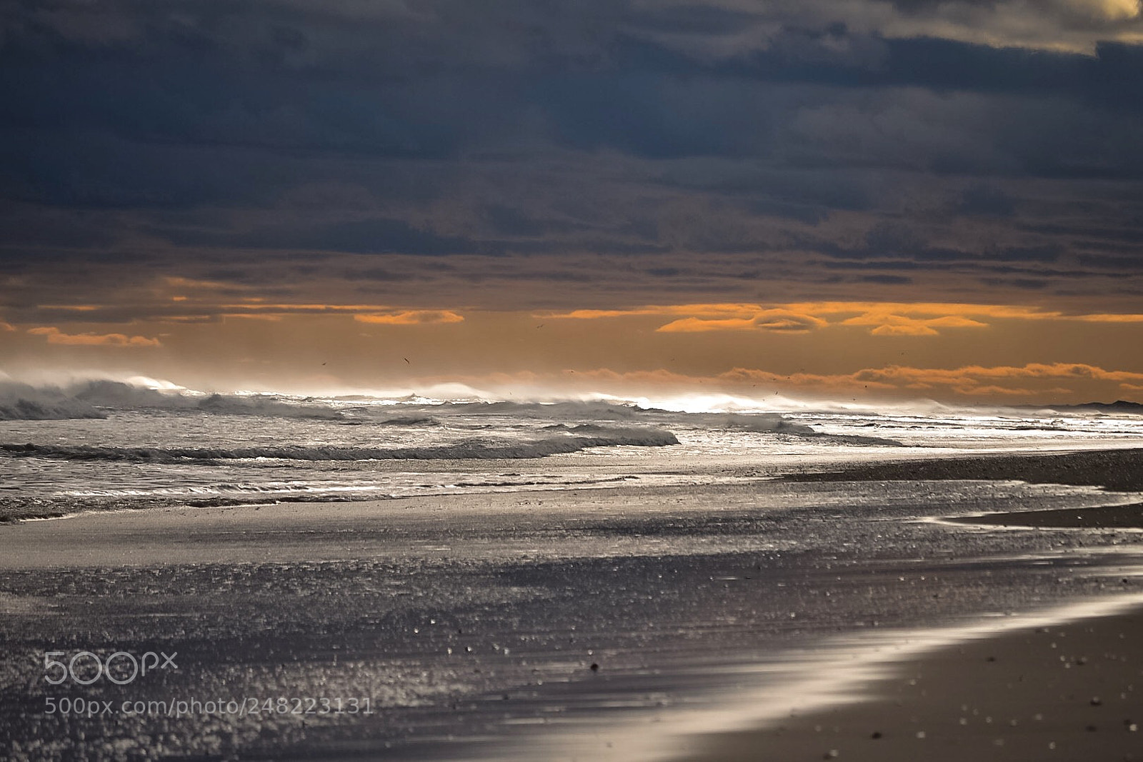 Nikon D610 sample photo. Sea spray photography