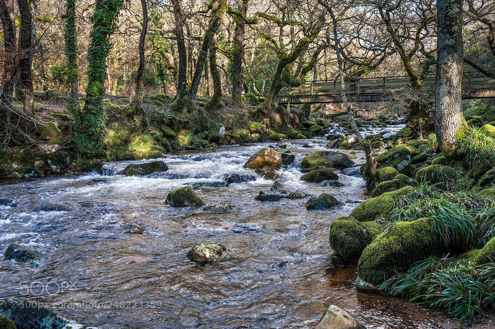 Nikon D5000 sample photo. The river plym photography