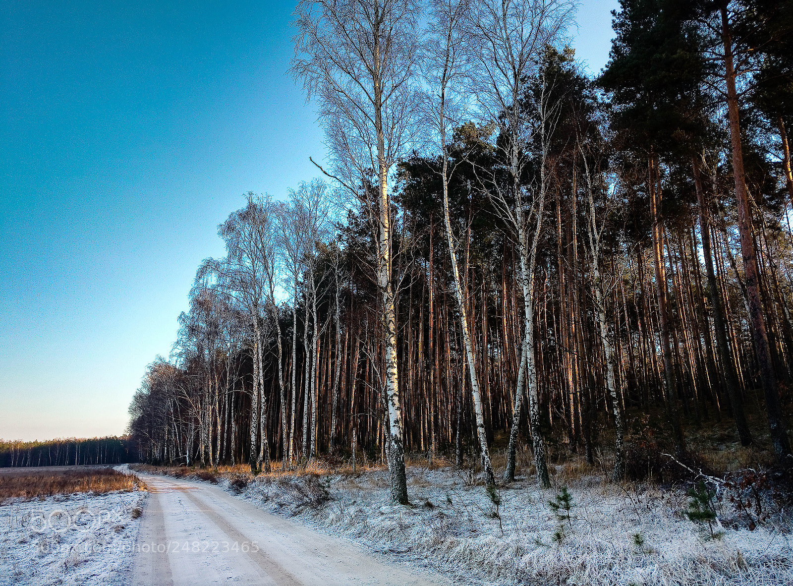 Motorola Moto X Play sample photo. Winter path photography