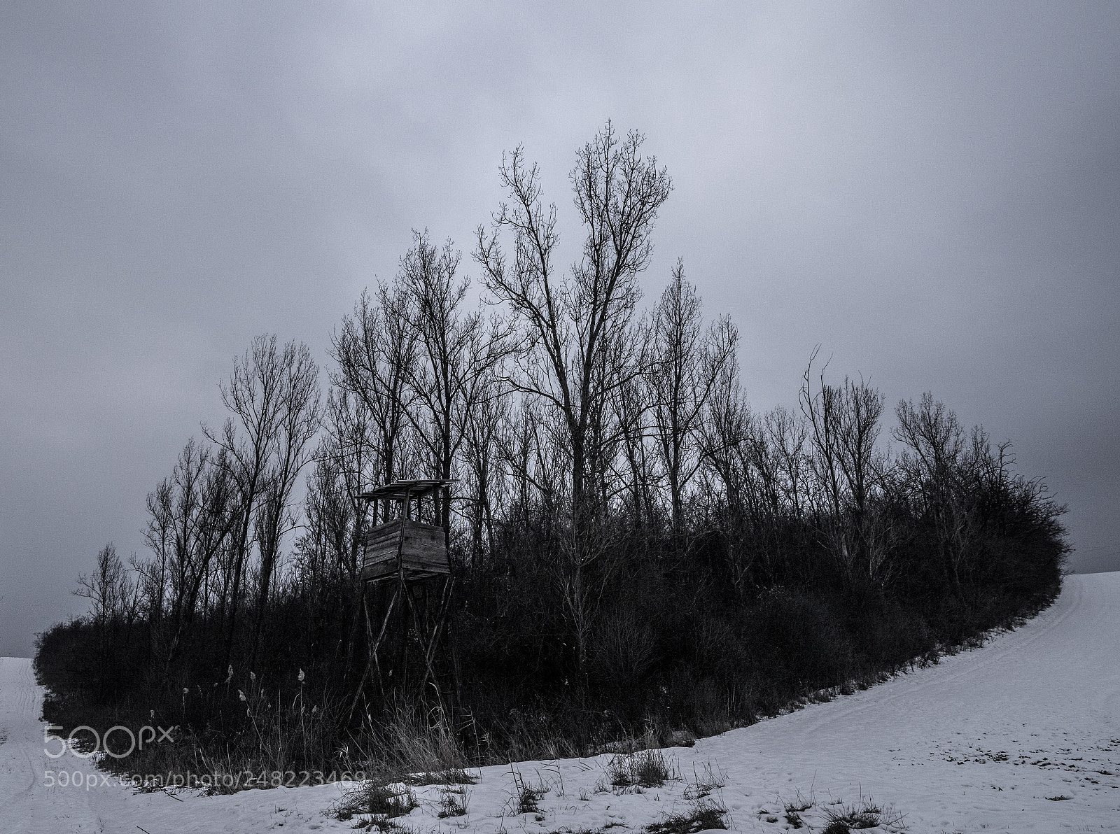 Sony a7 sample photo. _dsc2776-2.jpg photography