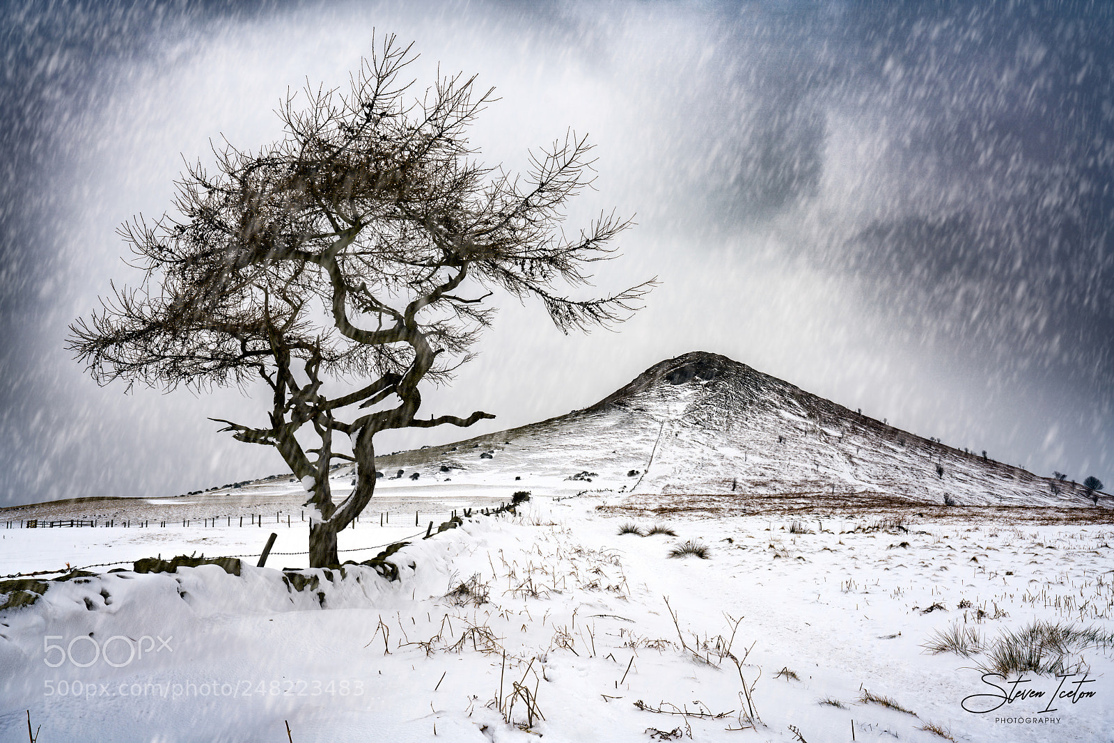 Sony a7R III sample photo. Roseberry topping lone tree photography