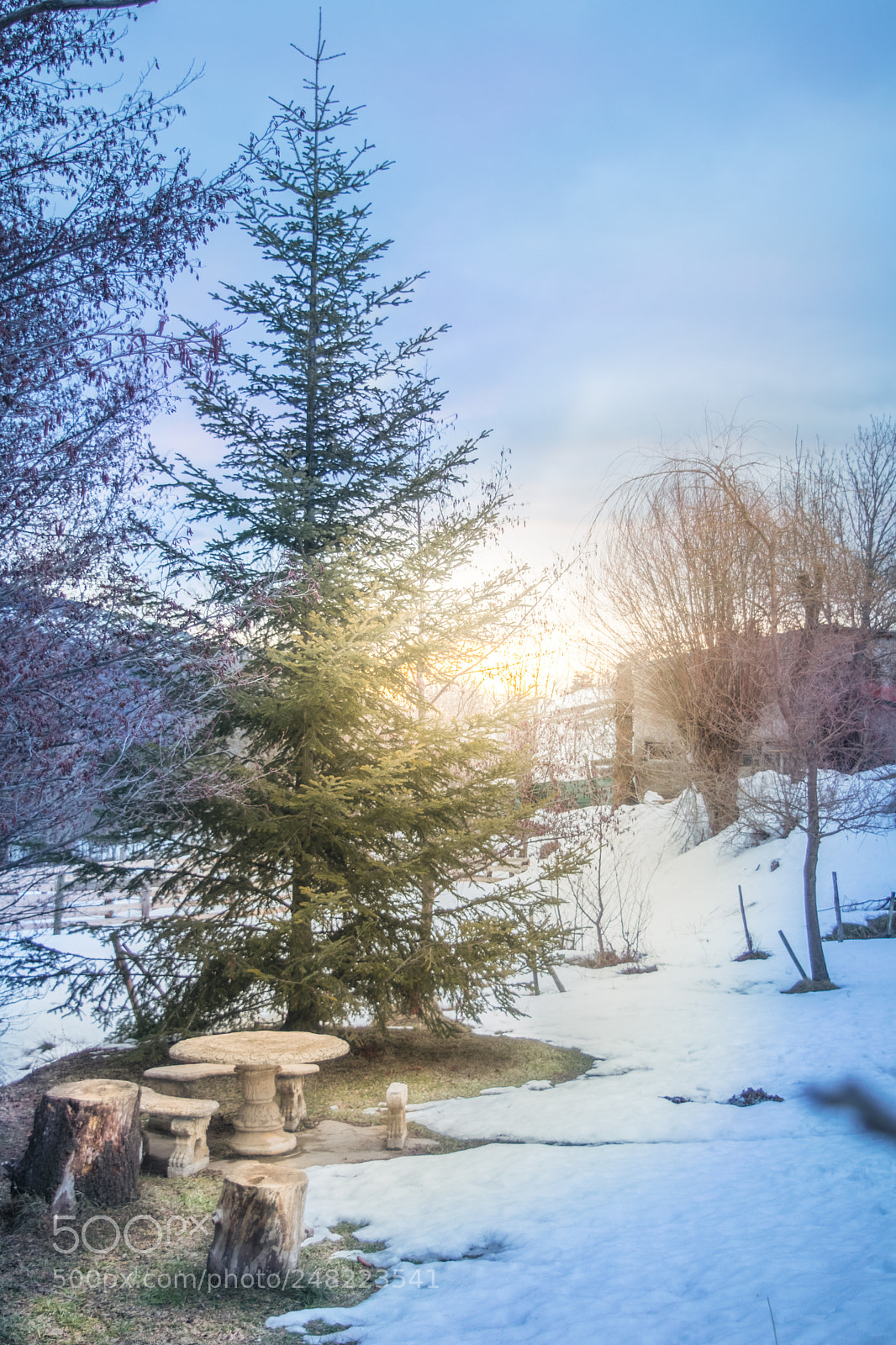 Nikon D5300 sample photo. Wake up photography