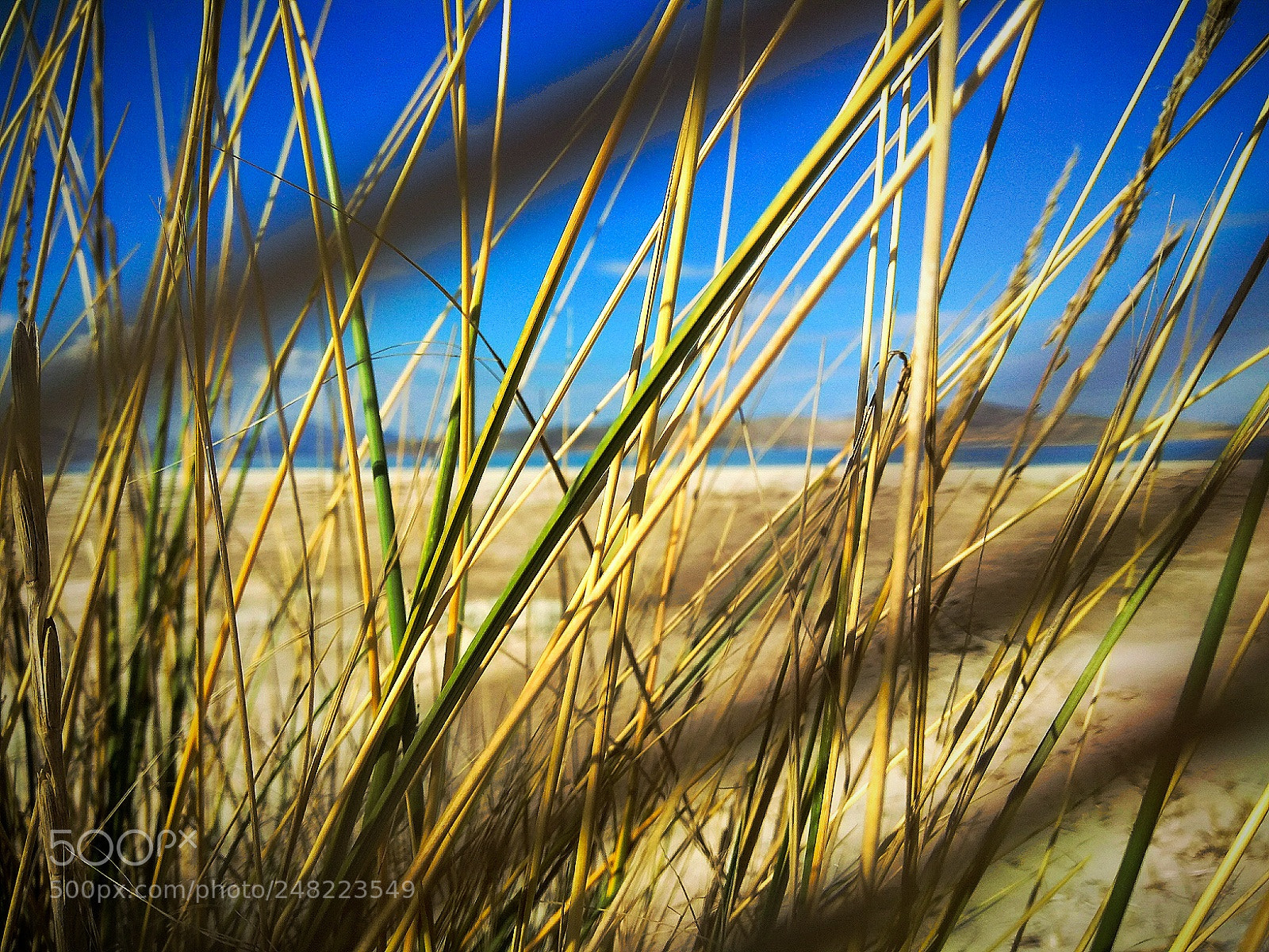 Xiaomi Redmi Note 4 sample photo. Grass stories photography