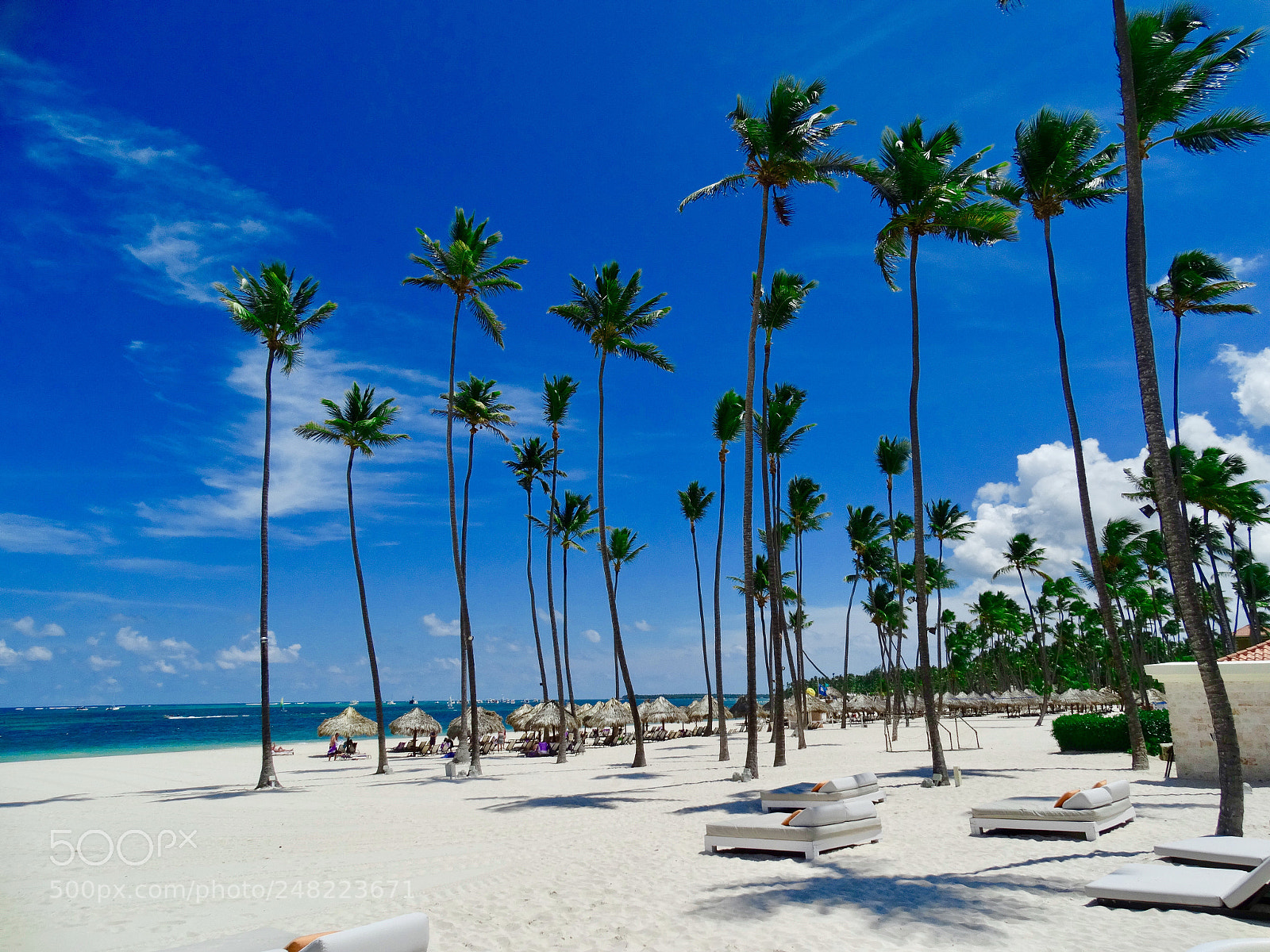 Sony Cyber-shot DSC-HX300 sample photo. Punta cana photography