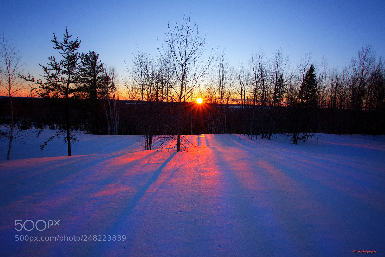 Nikon D7200 sample photo. Paisaje invernal photography