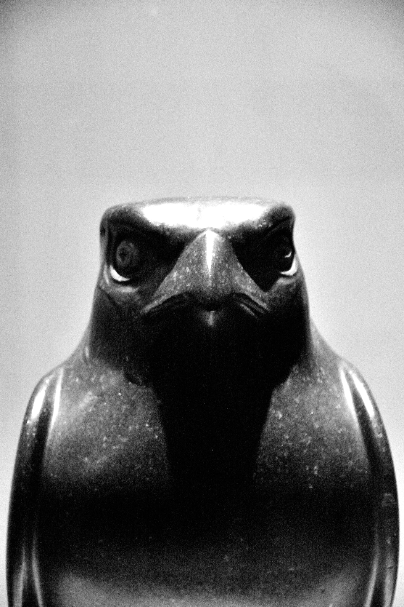 Nikon D3100 sample photo. Angry bird photography