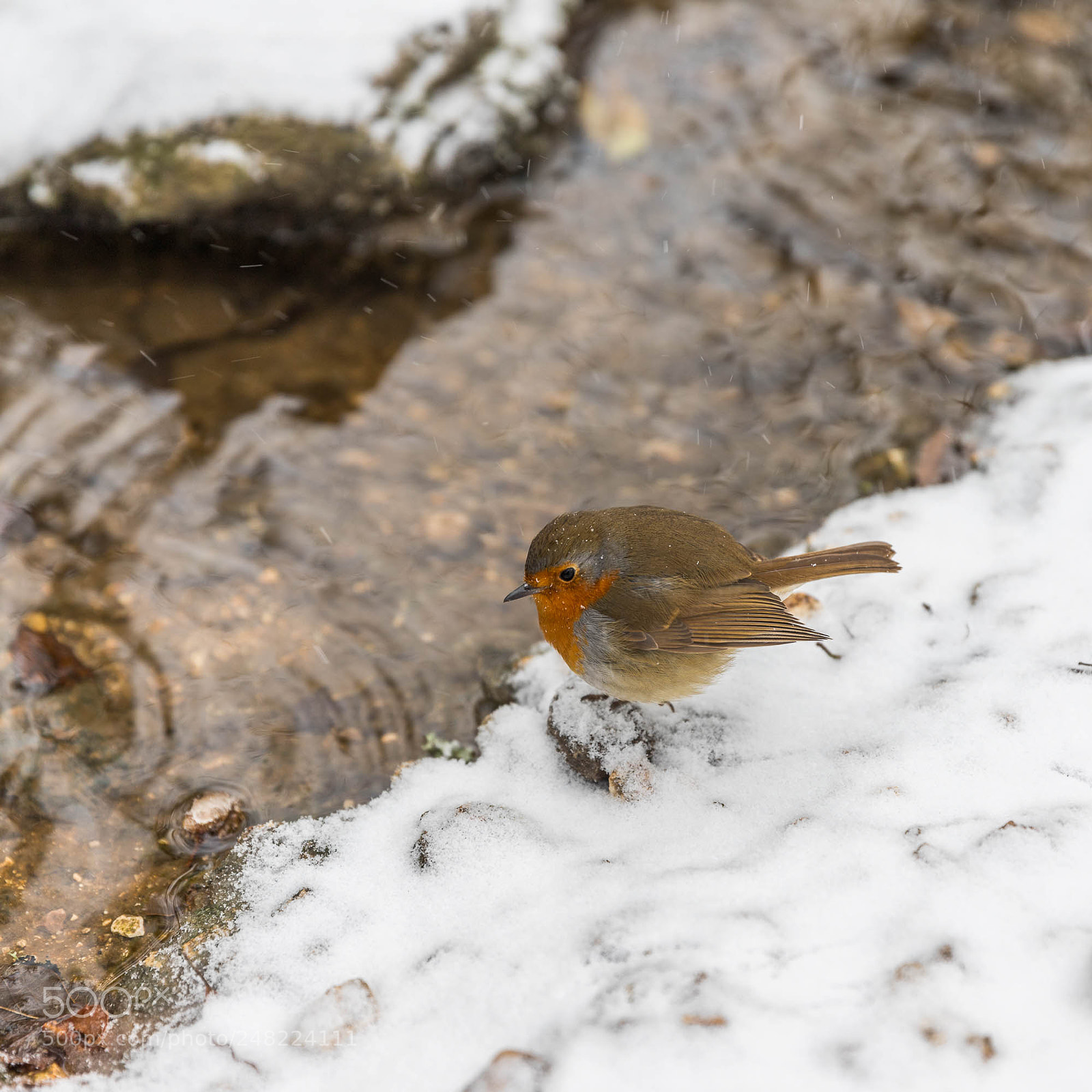 Canon EOS 6D Mark II sample photo. Looking for food photography