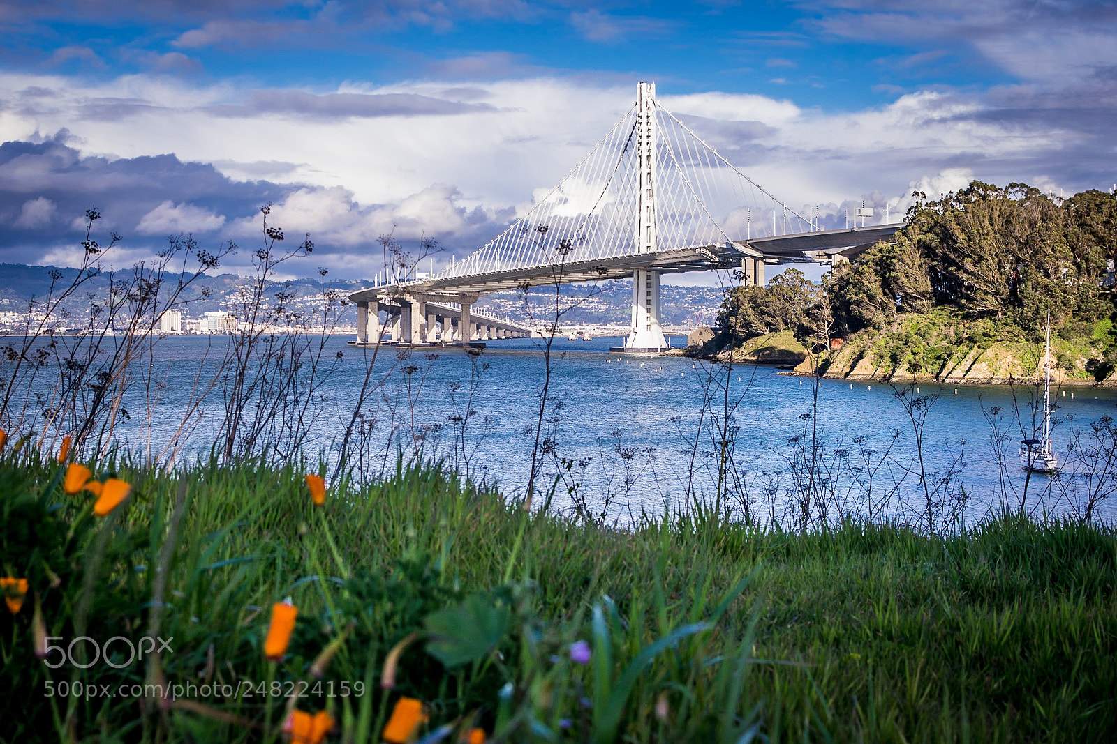 Nikon D3400 sample photo. Tranquil vibes photography