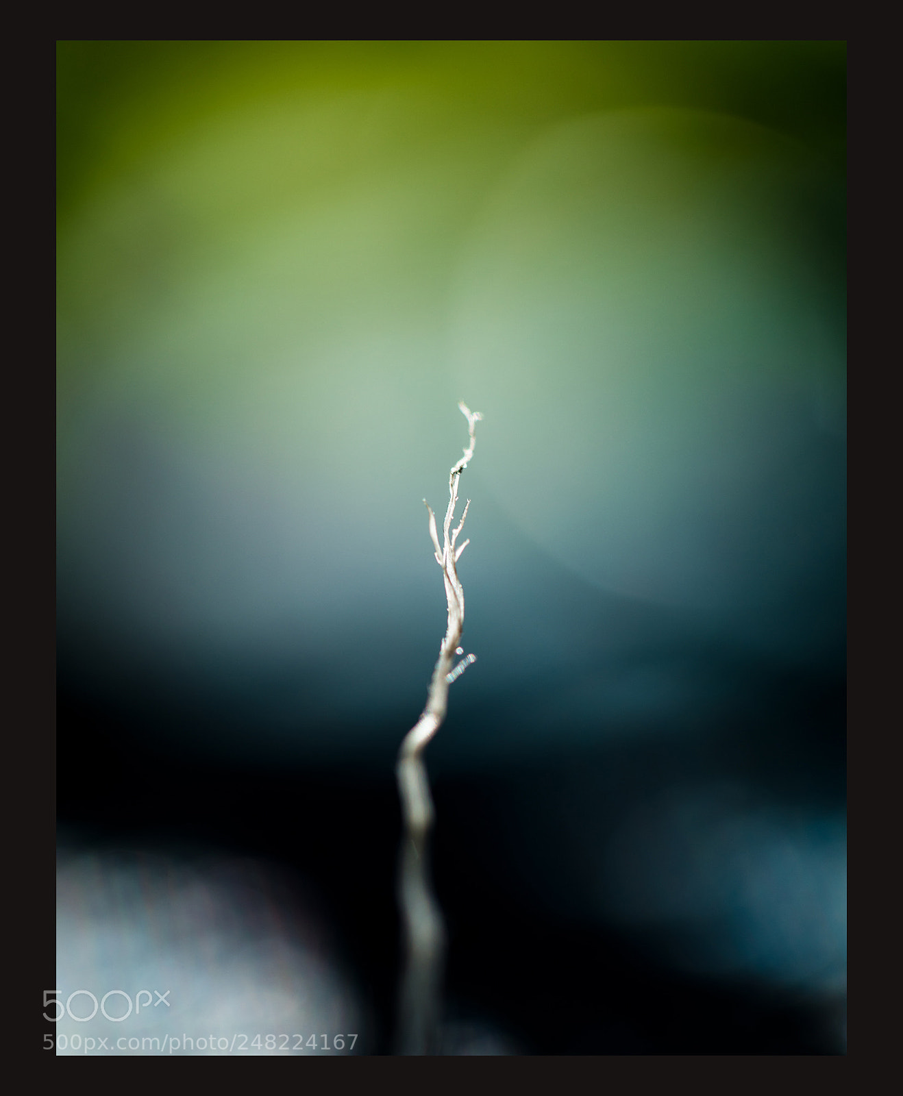 Canon EOS 5DS R sample photo. 色彩 photography