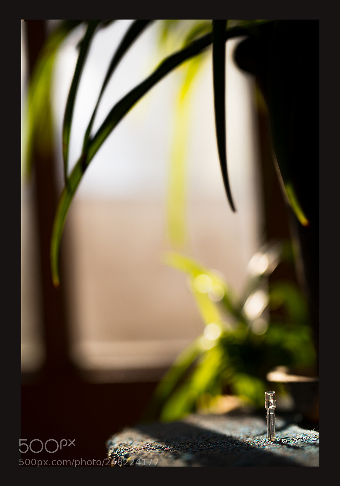 Canon EOS 5DS R sample photo. 色彩 photography