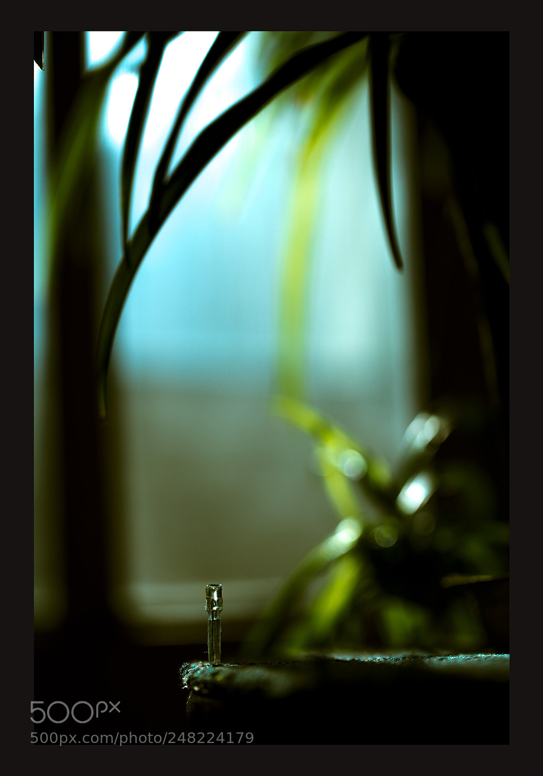 Canon EOS 5DS R sample photo. 色彩 photography
