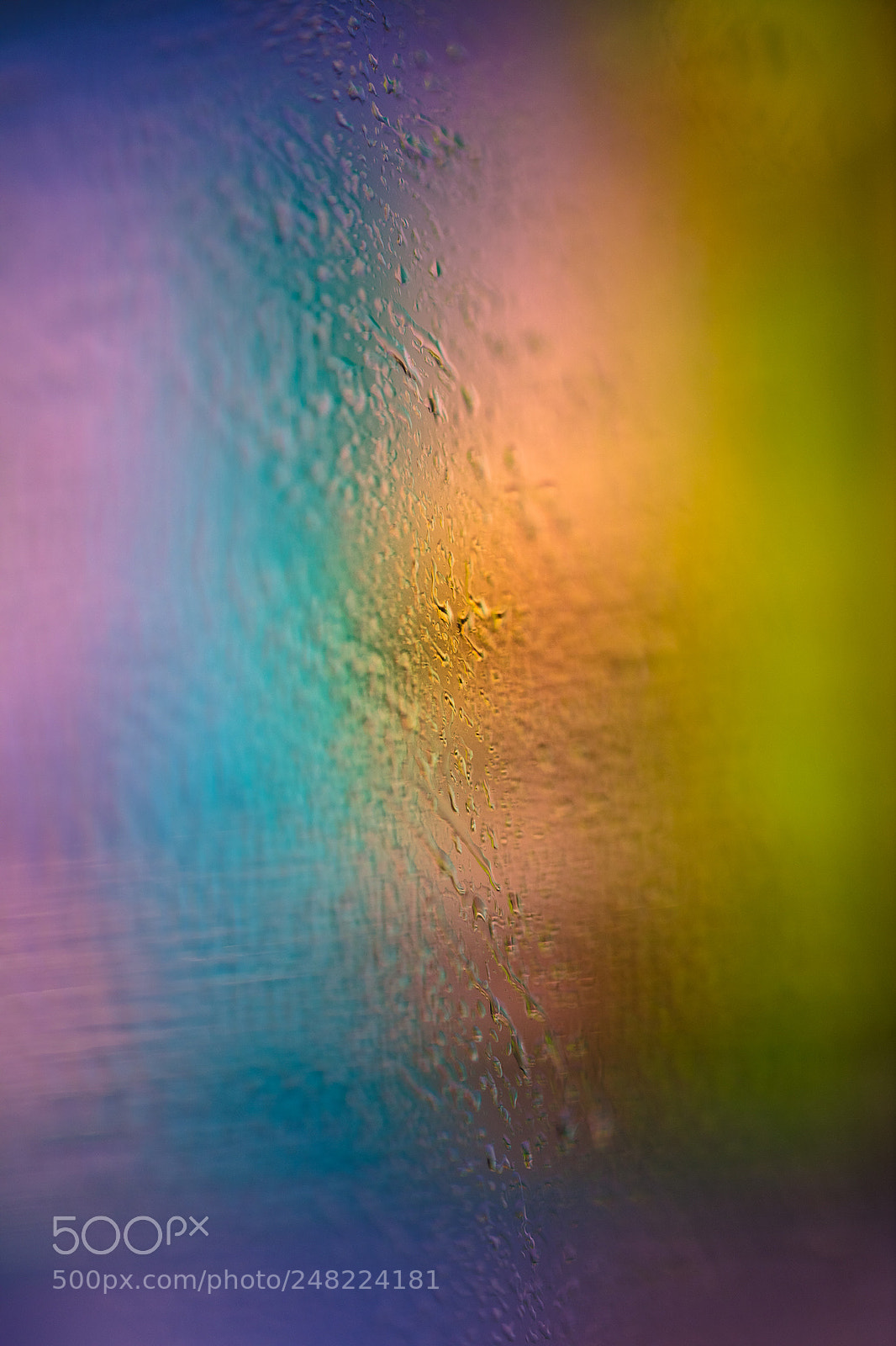 Canon EOS 5DS R sample photo. 色彩 photography