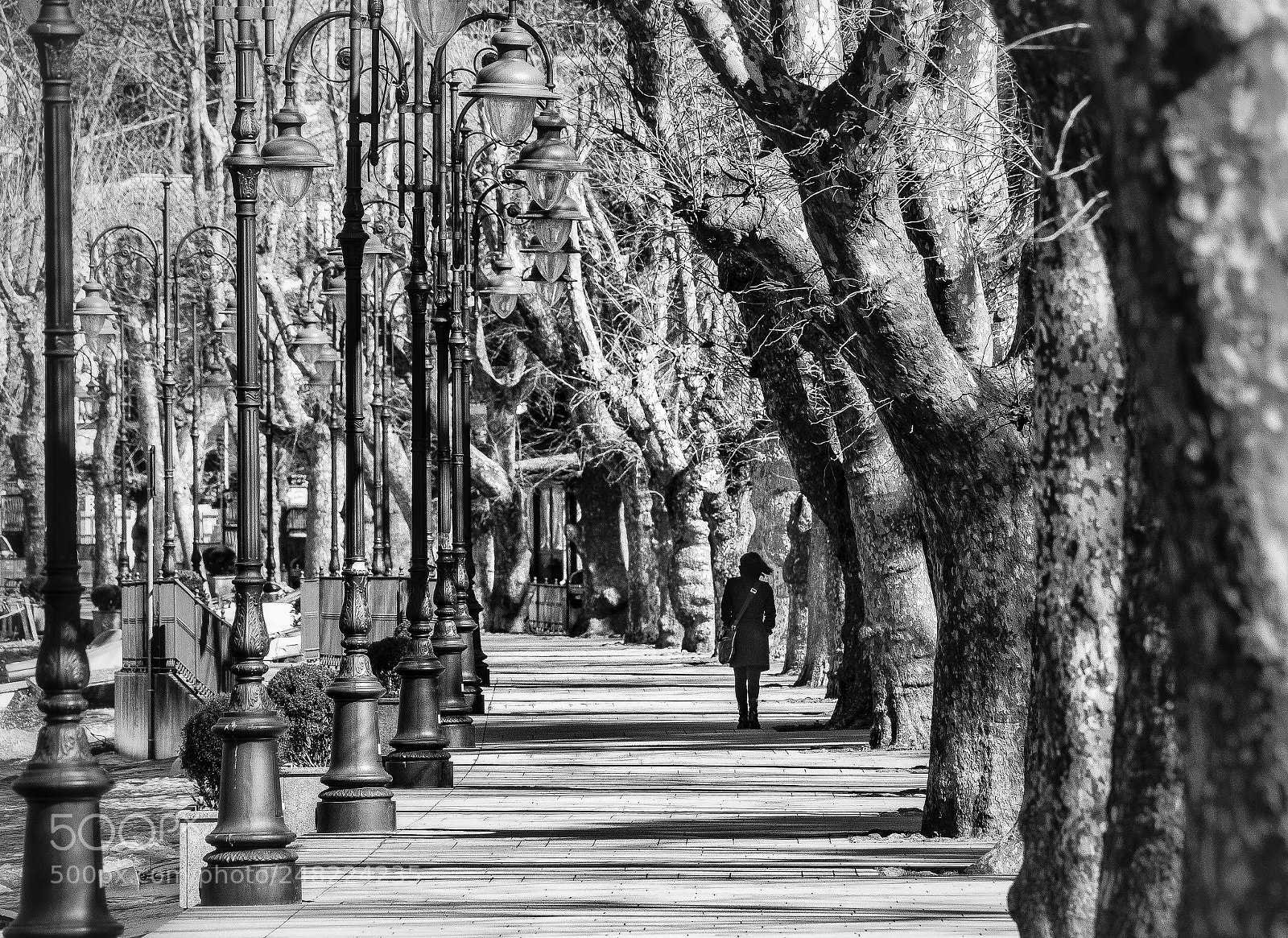 Nikon D600 sample photo. Untitled photography